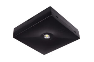 INTELIGHT Ljós neyðar Svart STARLET QUAD LED SO 150 NM 1H MT (BLK)
